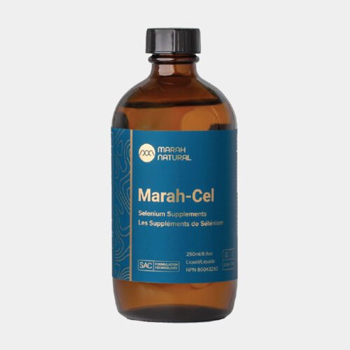 Marah-Cel (마라셀)