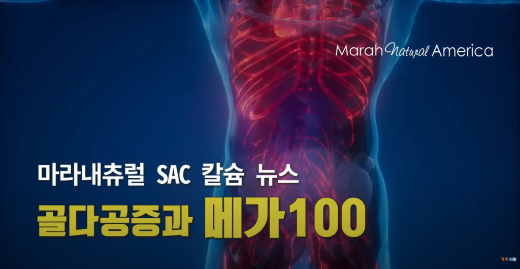 Marah_Natural_America_KakaoTalk 20230717 125304345